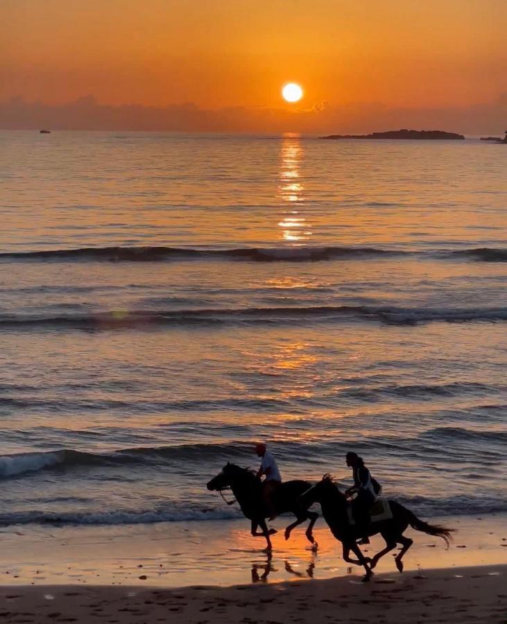 דירות Prestigia Essaouira Mogador Luxury Ocean View מראה חיצוני תמונה